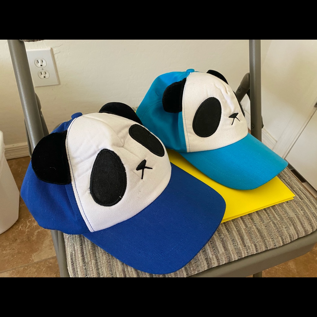 Panda Cap Hat